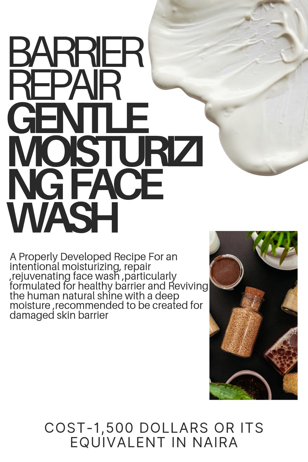 Barrier Repair Gentle Moisturizing Face Wash