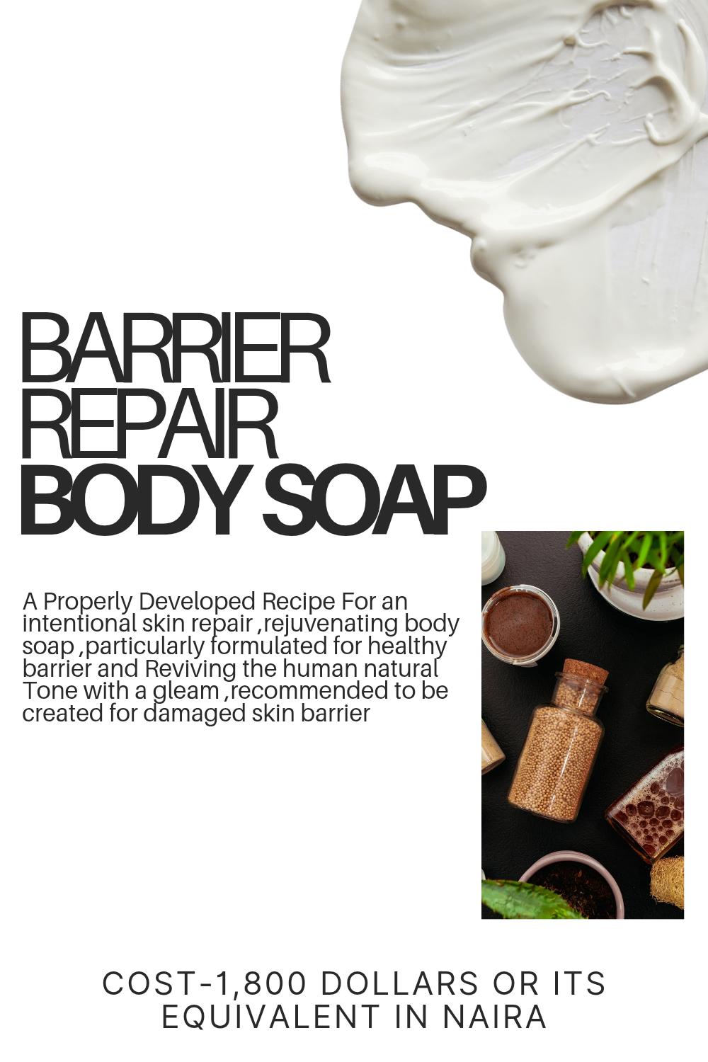 Barrier Repair Body Soap